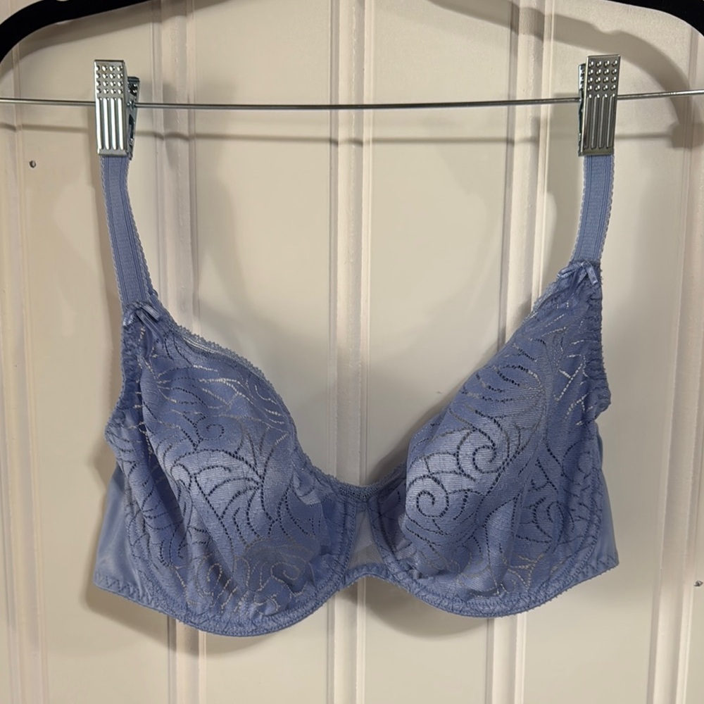 Elegant Blue Lace Bra - Picture 2 of 11